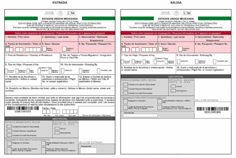 Free Mexican FMM Form Download: A Comprehensive Guide