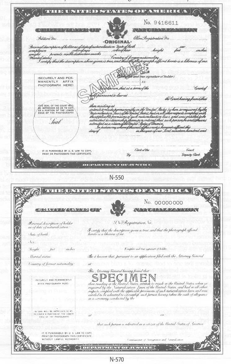 Free N-570 Form Download: A Comprehensive Guide