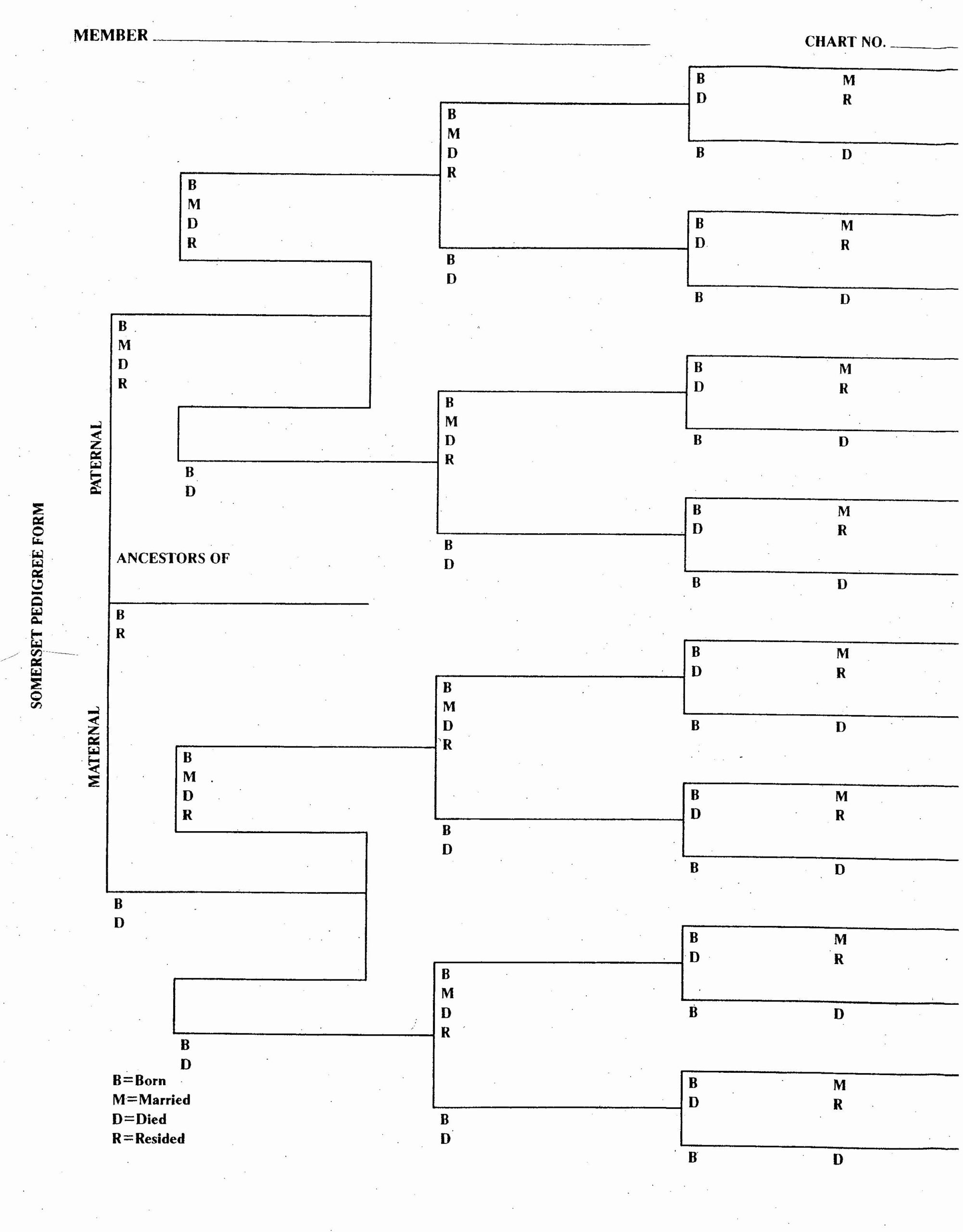 Genealogy Printable Forms And Charts